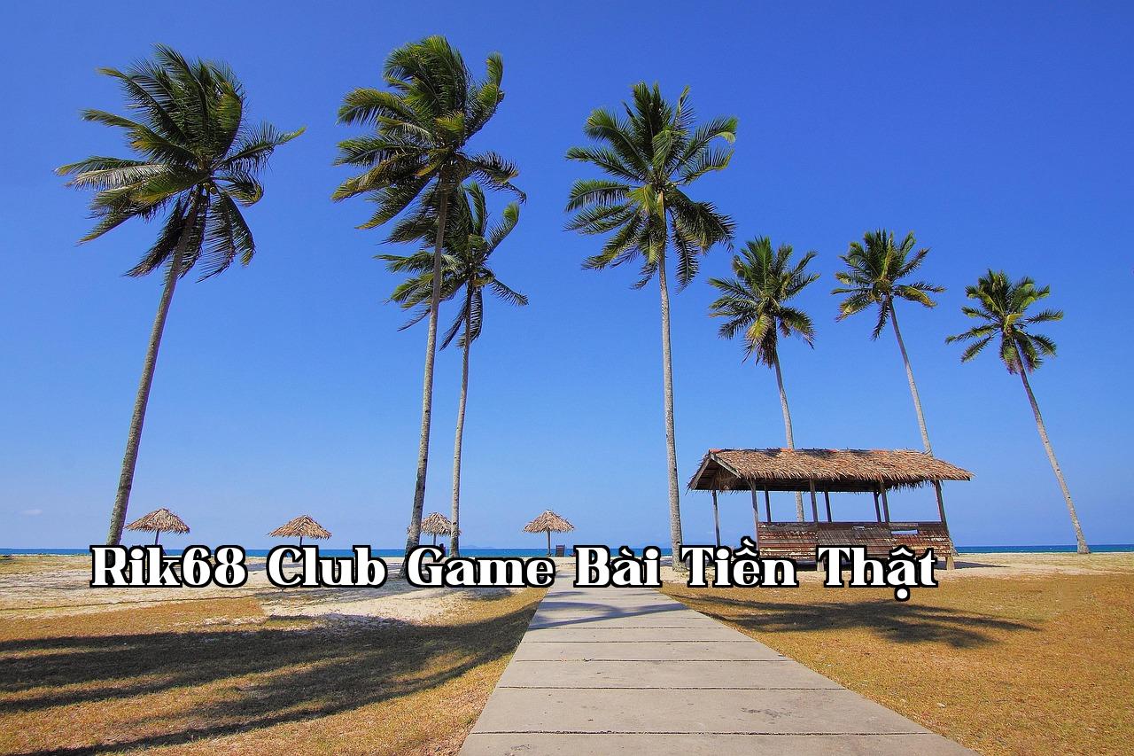 LeetCode 102 Duyệt cây nhị phân theo tầng - winvip.club
