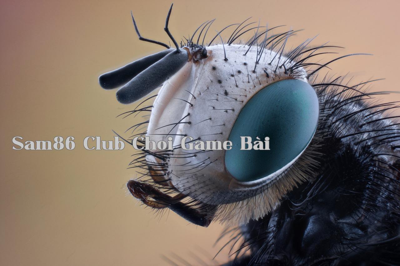 Ghi Chép Về Hành Trình Lên Núi Thanh Long - 888bets